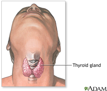thyroid_gland